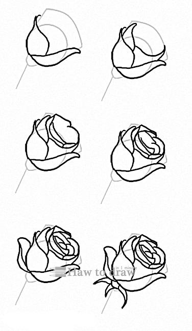 Featured image of post How To Draw A Rose With Pencil Step By Step : Easy oil pastel drawings lotus flower/ how to draw flowers for beginners step by step.