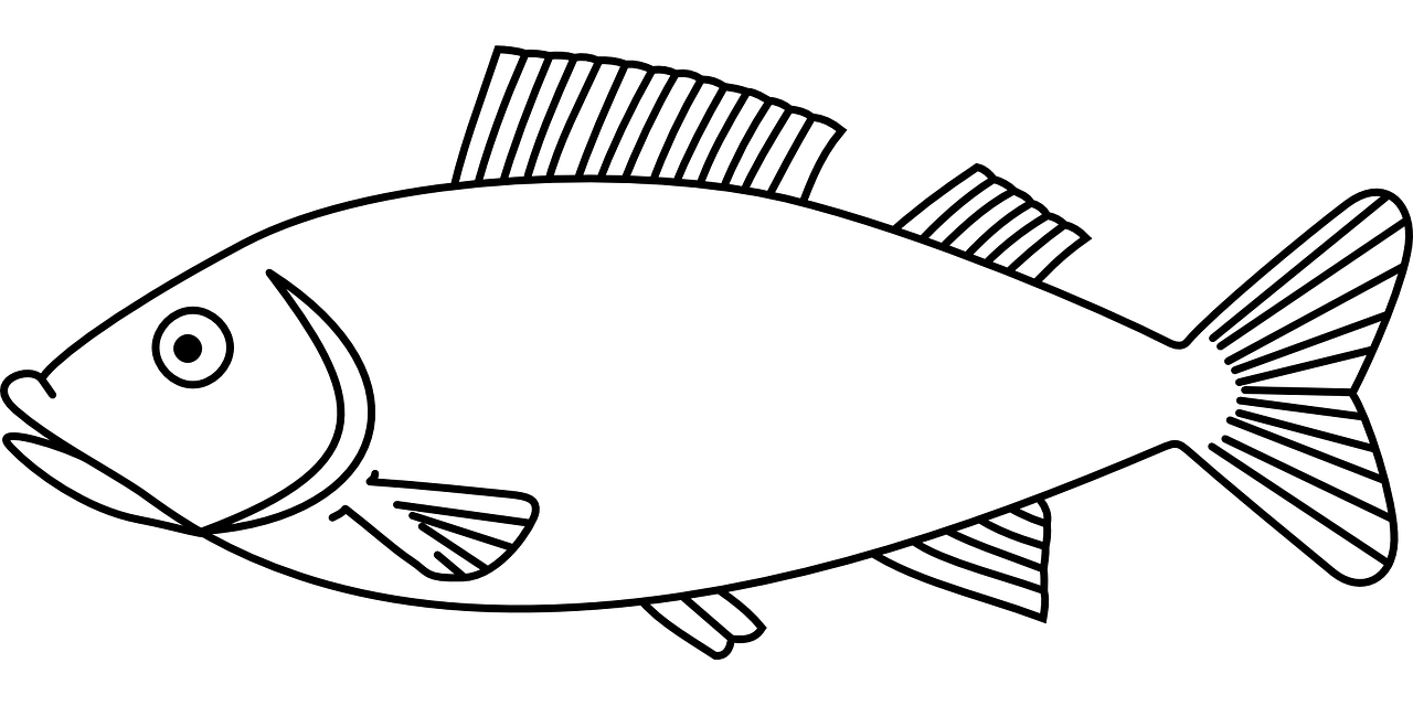 fish coloring pages for kids 14 pics  howtodraw in 1