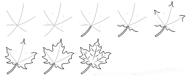 How to draw a leaf step by step - HOW-TO-DRAW in 1 minute
