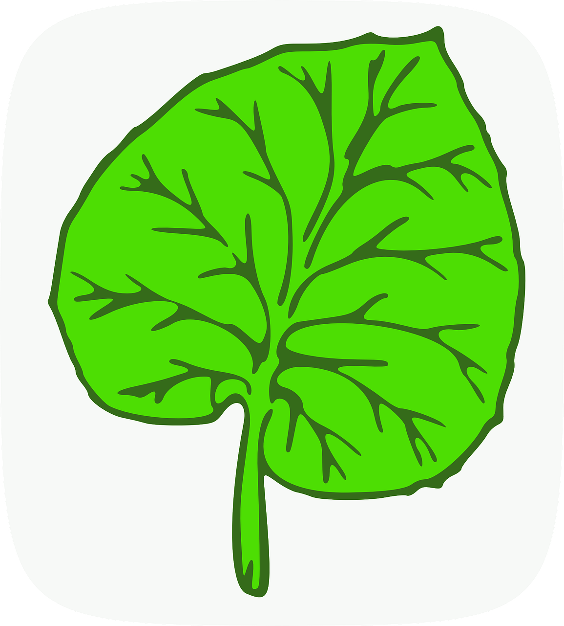How to draw a leaf 19 ideas beautiful drawings of leaves HOWTODRAW