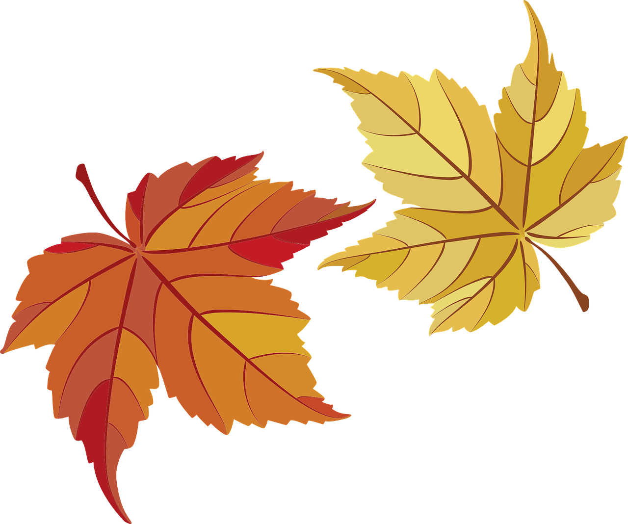How to draw a leaf 19 ideas beautiful drawings of leaves HOWTODRAW