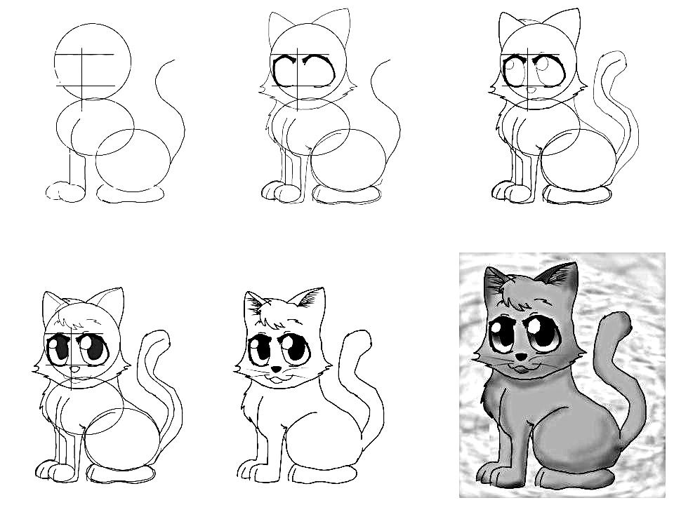 How to draw anime cat - 10 step-by-step drawing instructions for