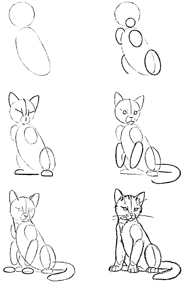 How to draw a cat step by step 10 drawing tutorials for beginners