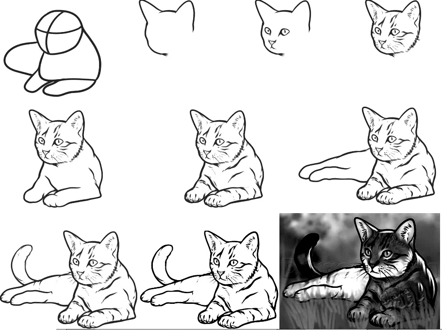 How to draw a cat step by step - 10 drawing tutorials for beginners