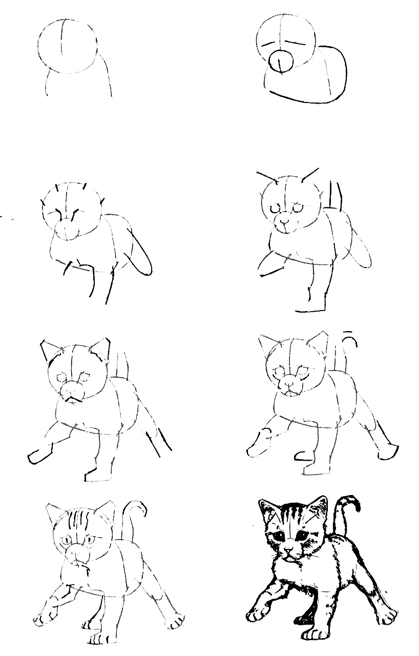 How to draw a cat step by step - 10 drawing tutorials for beginners