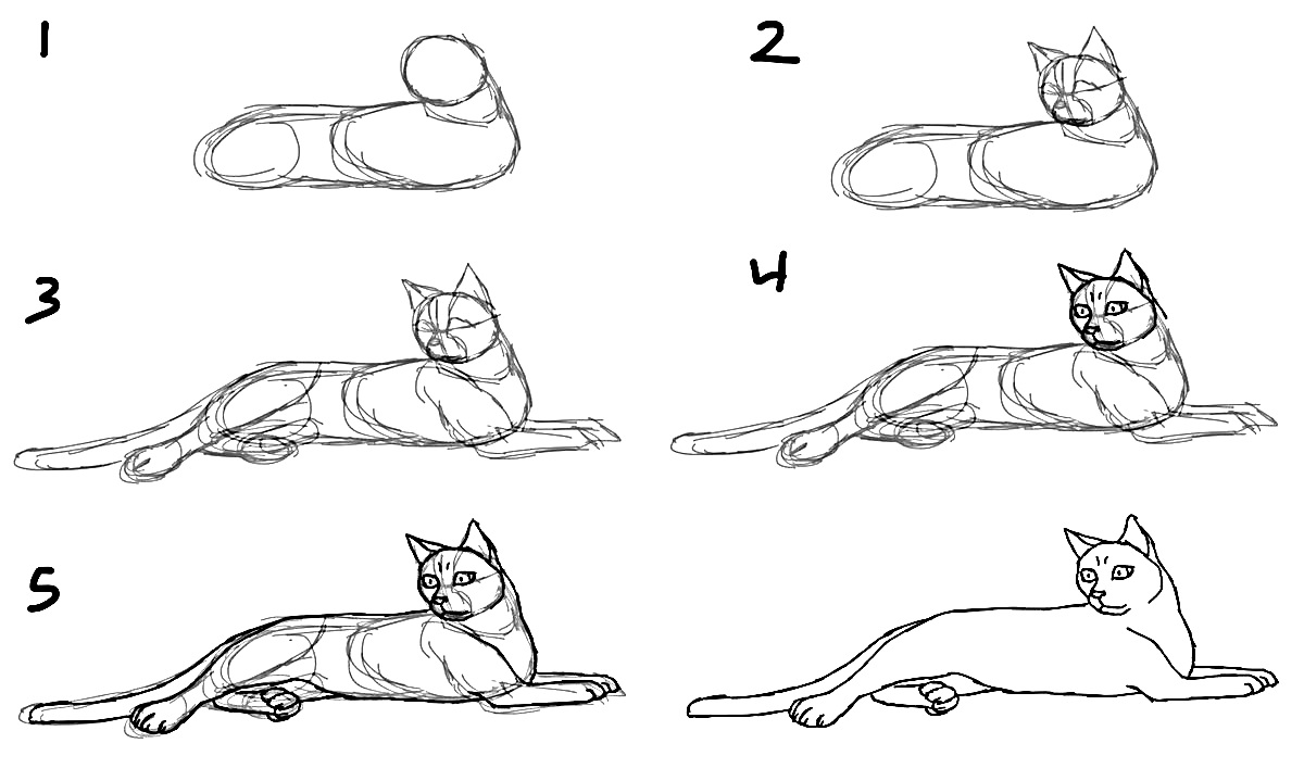 How To Draw A Cat Step By Step 10 Drawing Tutorials For Beginners How To Draw In 1 Minute