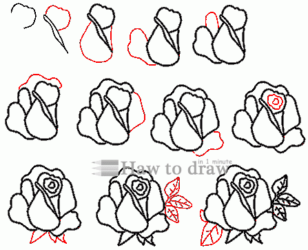 how to draw a rose with pencil 10