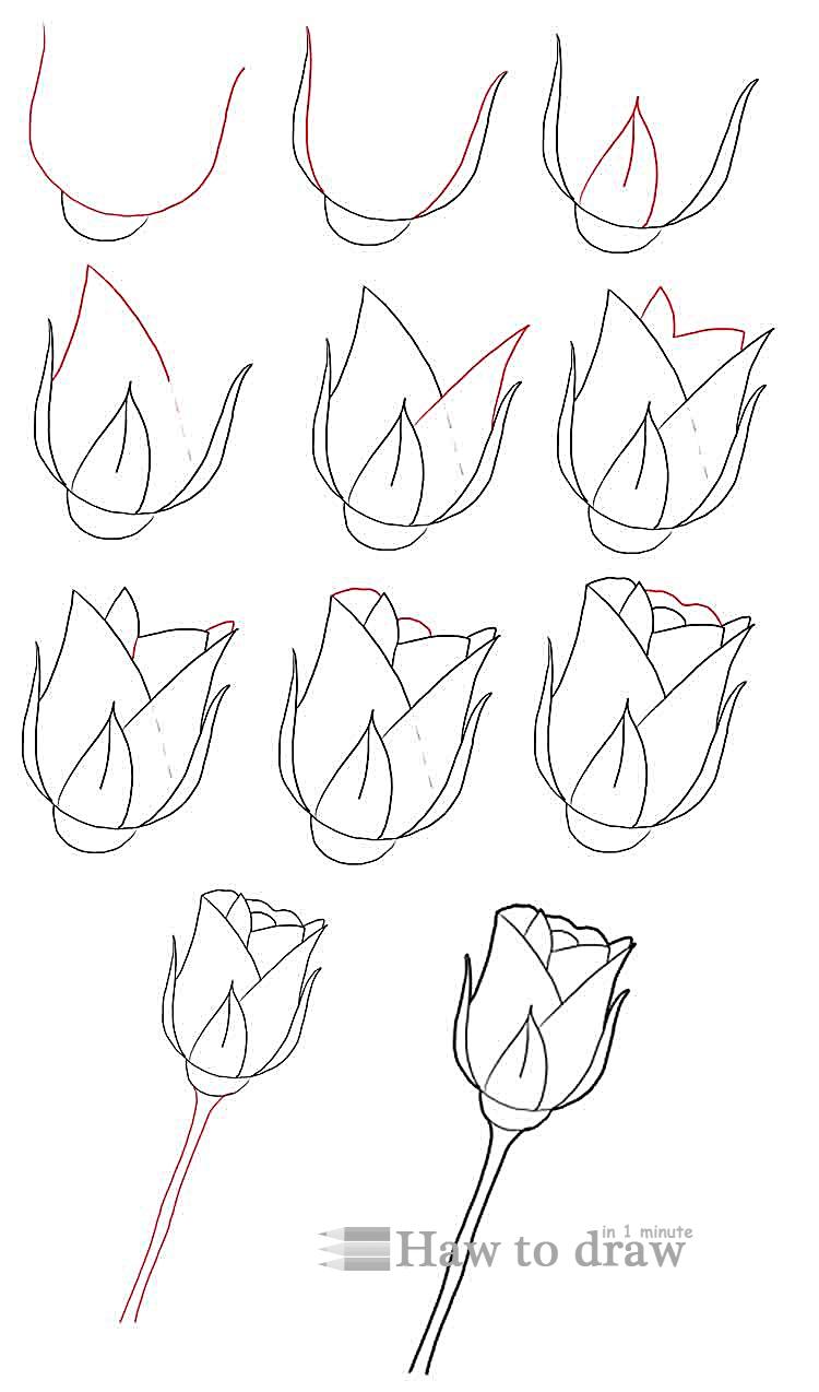 how to draw a rose with pencil 4