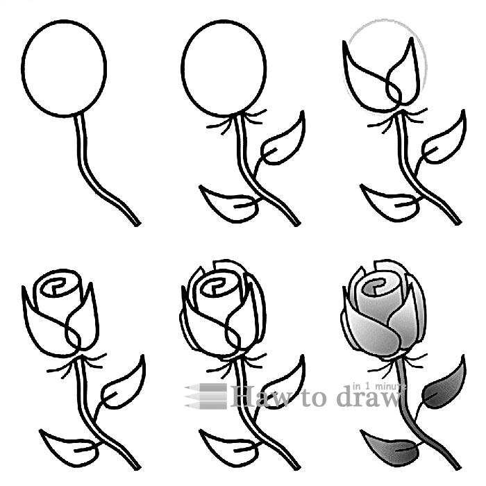 how to draw a rose with pencil 7