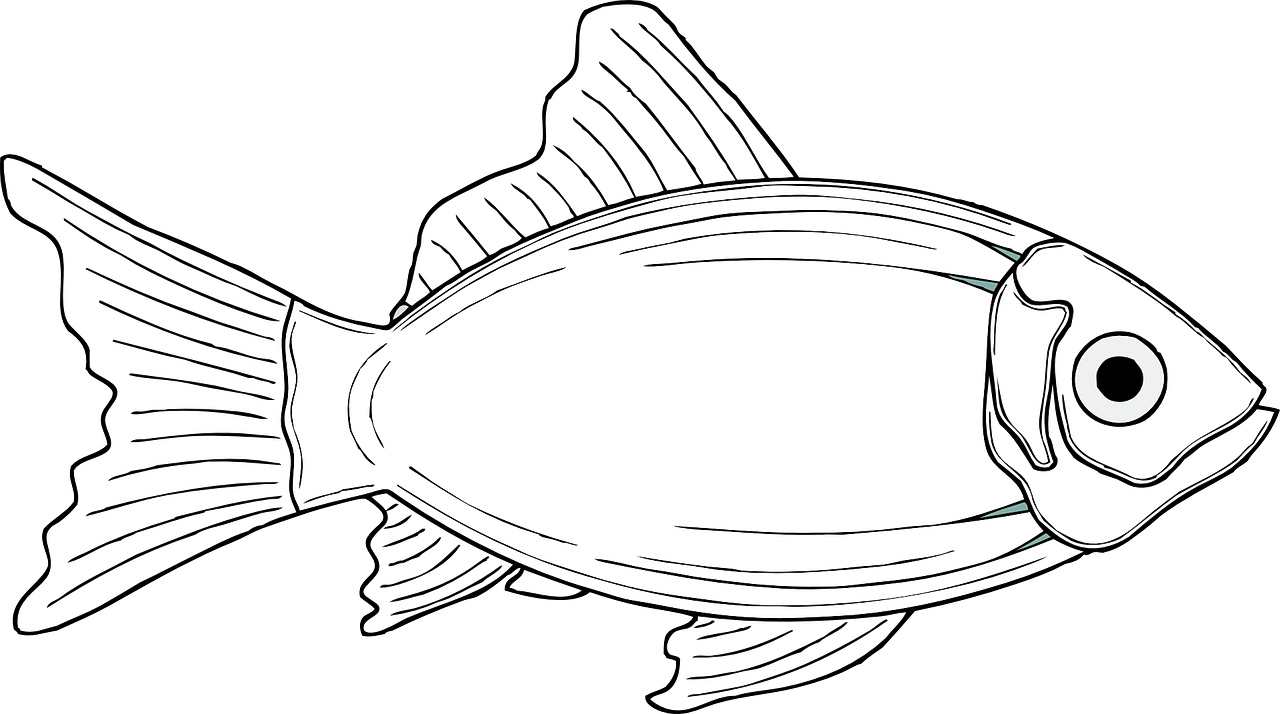 Fish coloring pages free for kids 2