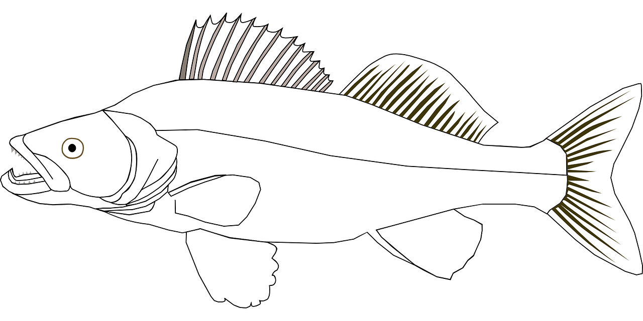 Fish coloring pages free for kids 9