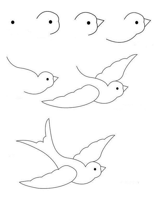 How to draw a bird drawings of swallow 5