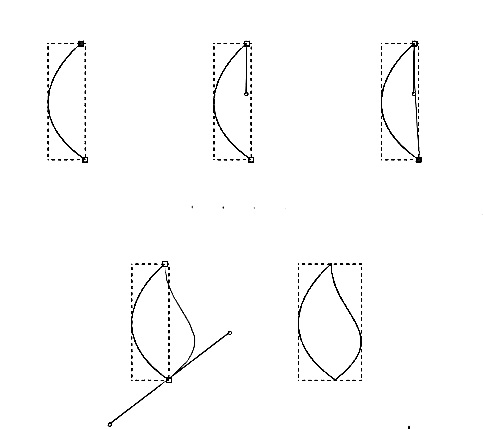 How to draw a leaf step by step 1 (5)