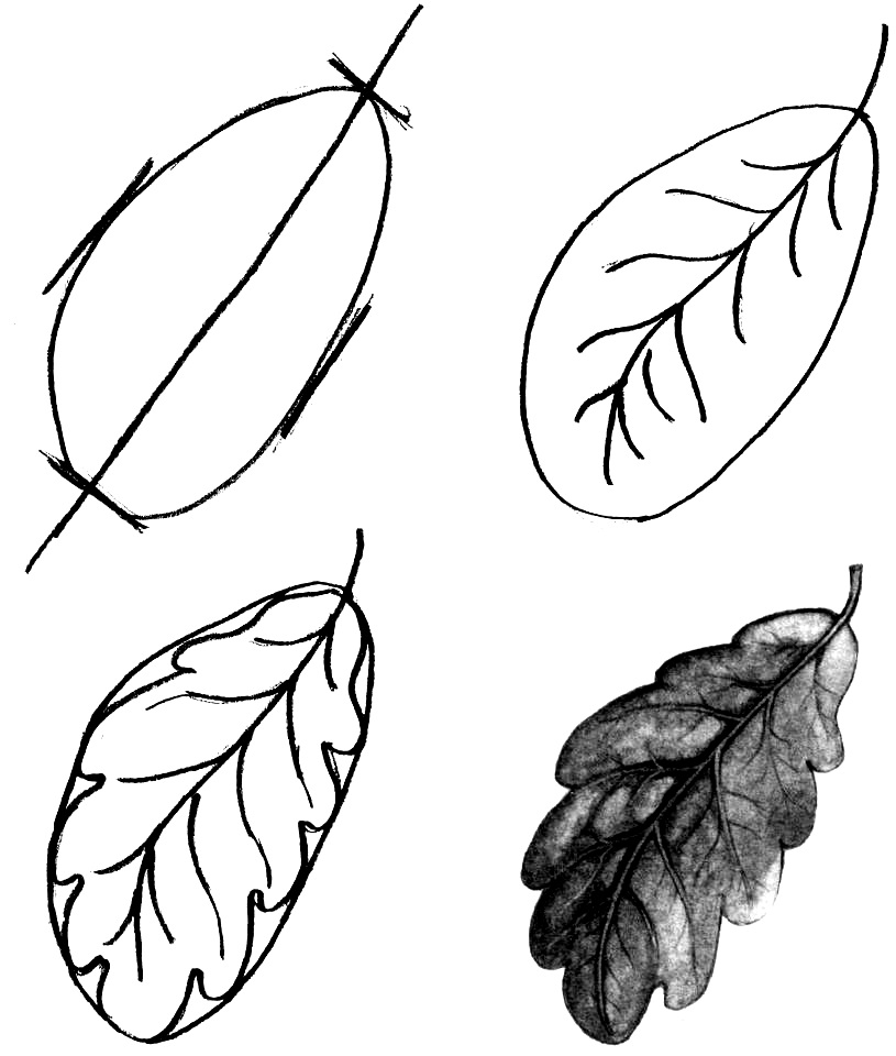 How to draw a leaf step by step 1 (8)
