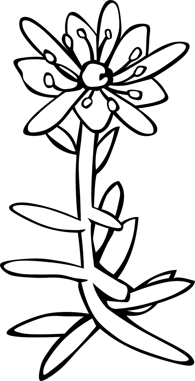 Wildflowers drawing - coloring pages free for kids 14