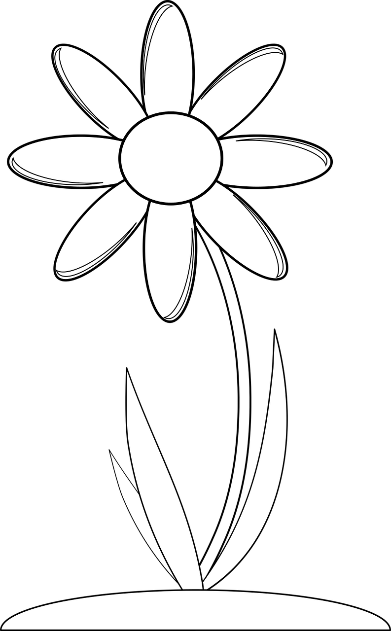 Wildflowers drawing - coloring pages free for kids