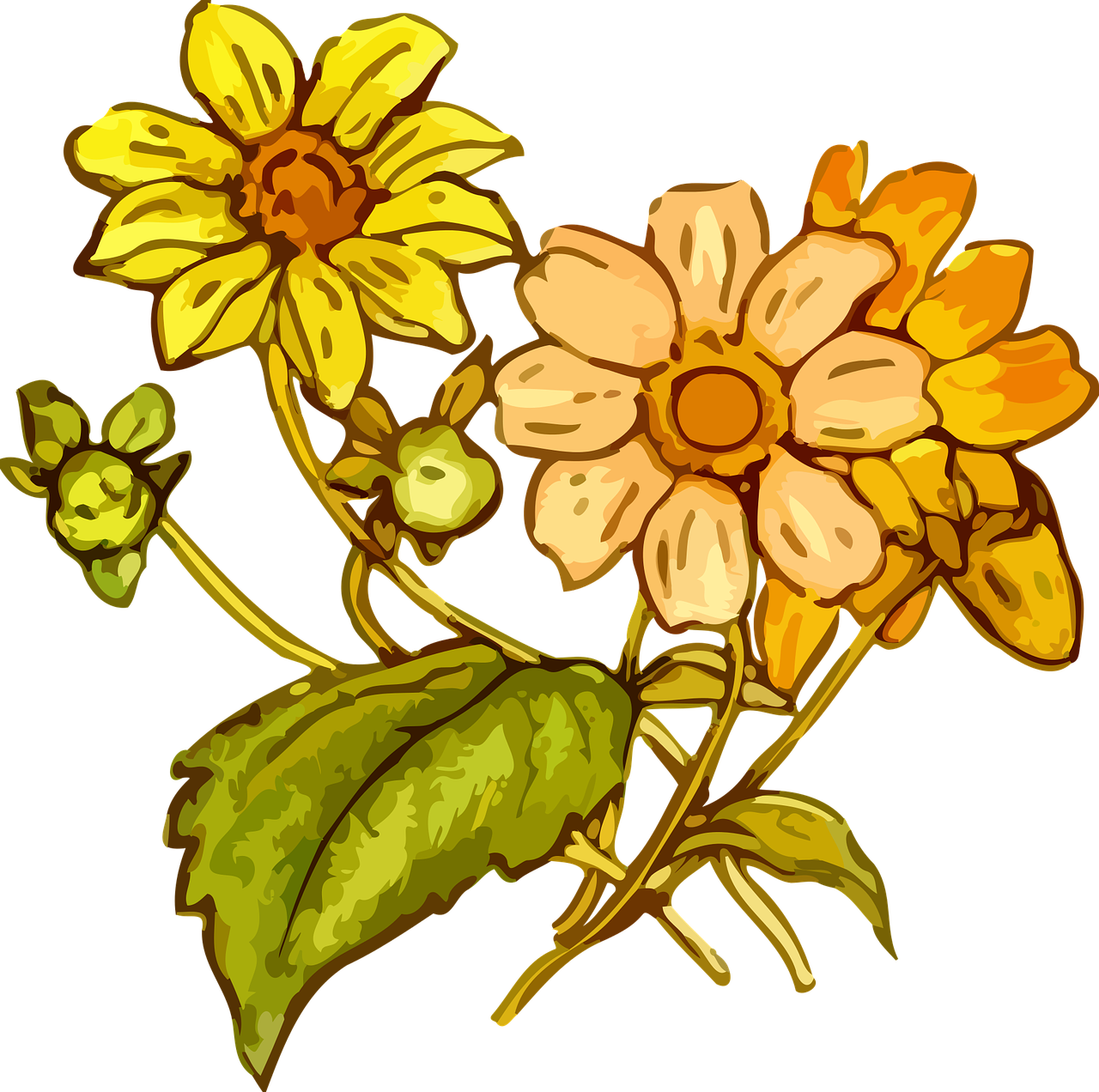 Wildflowers drawing - the best 2