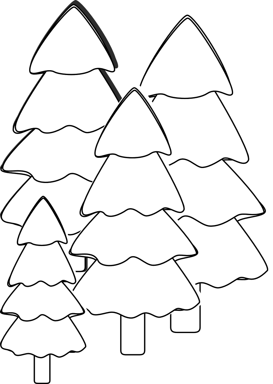 how to draw a Christmas tree, coloring 1