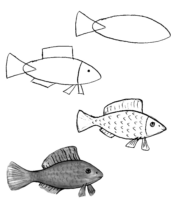 how to draw a fish 1