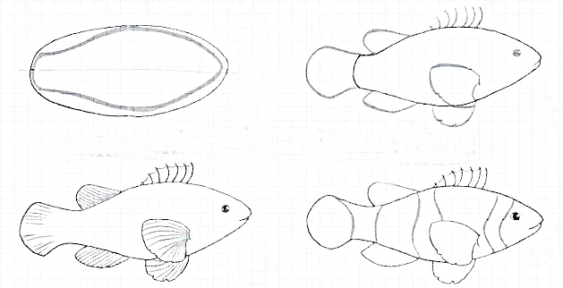 how to draw a fish 15