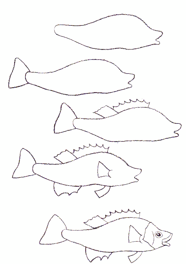 how to draw a fish 19