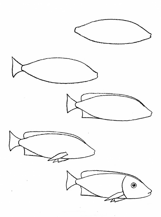 how to draw a fish 24