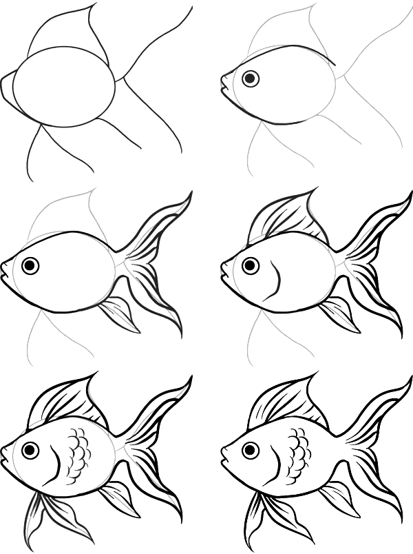 how to draw a fish 27