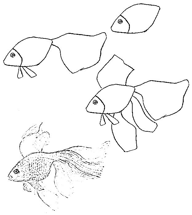 how to draw a fish 3