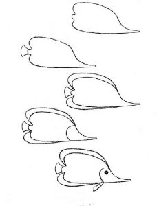 Drawing of simple fish: 10 step-by-step lessons, part 3