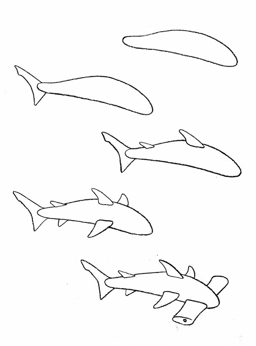 how to draw a fish 45