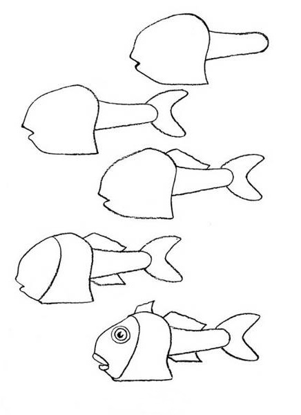 how to draw a fish 48