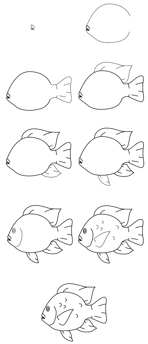 how to draw a fish 5