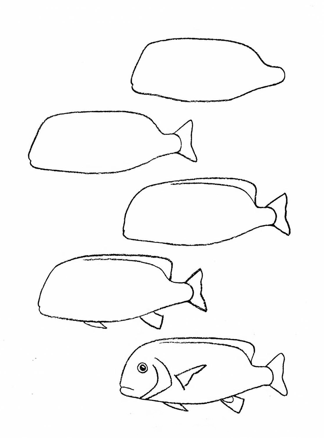 how to draw a fish 50
