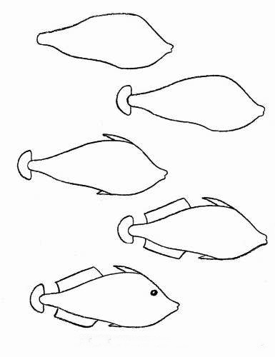 how to draw a fish 55
