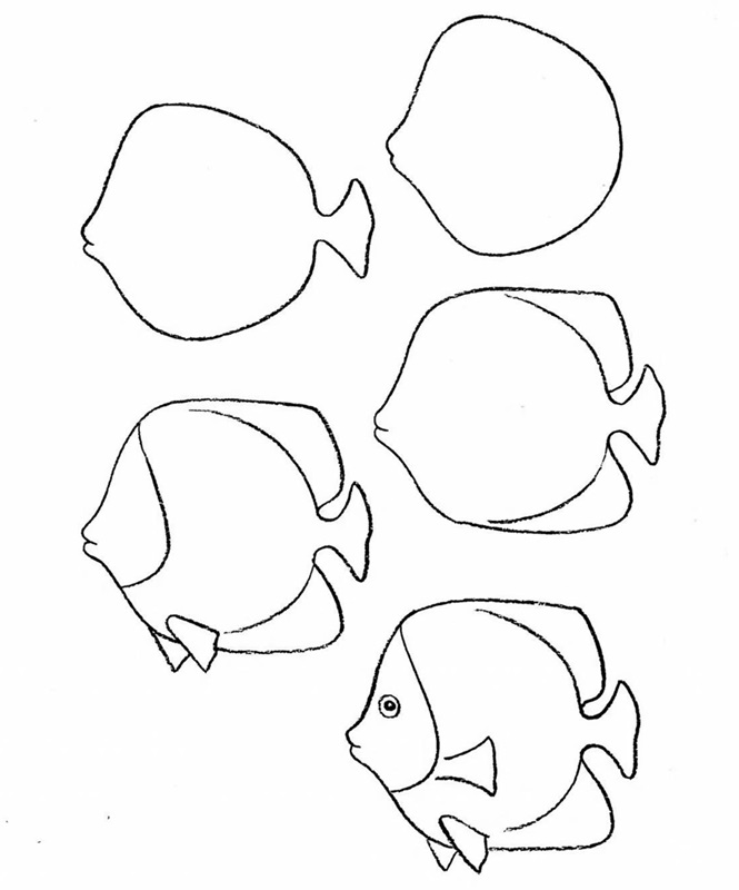 how to draw a fish 6