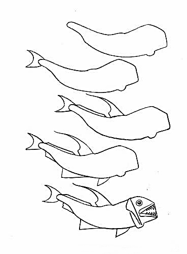 how to draw a fish 61