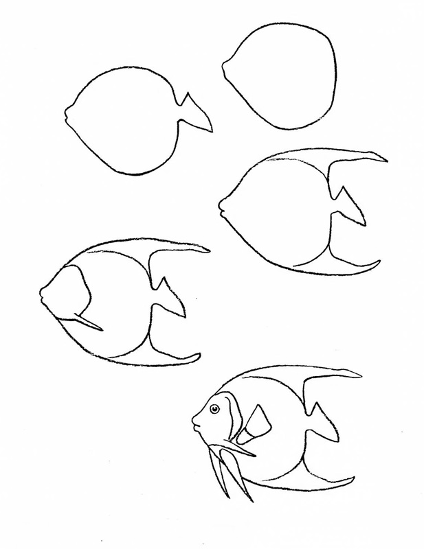 how to draw a fish 8