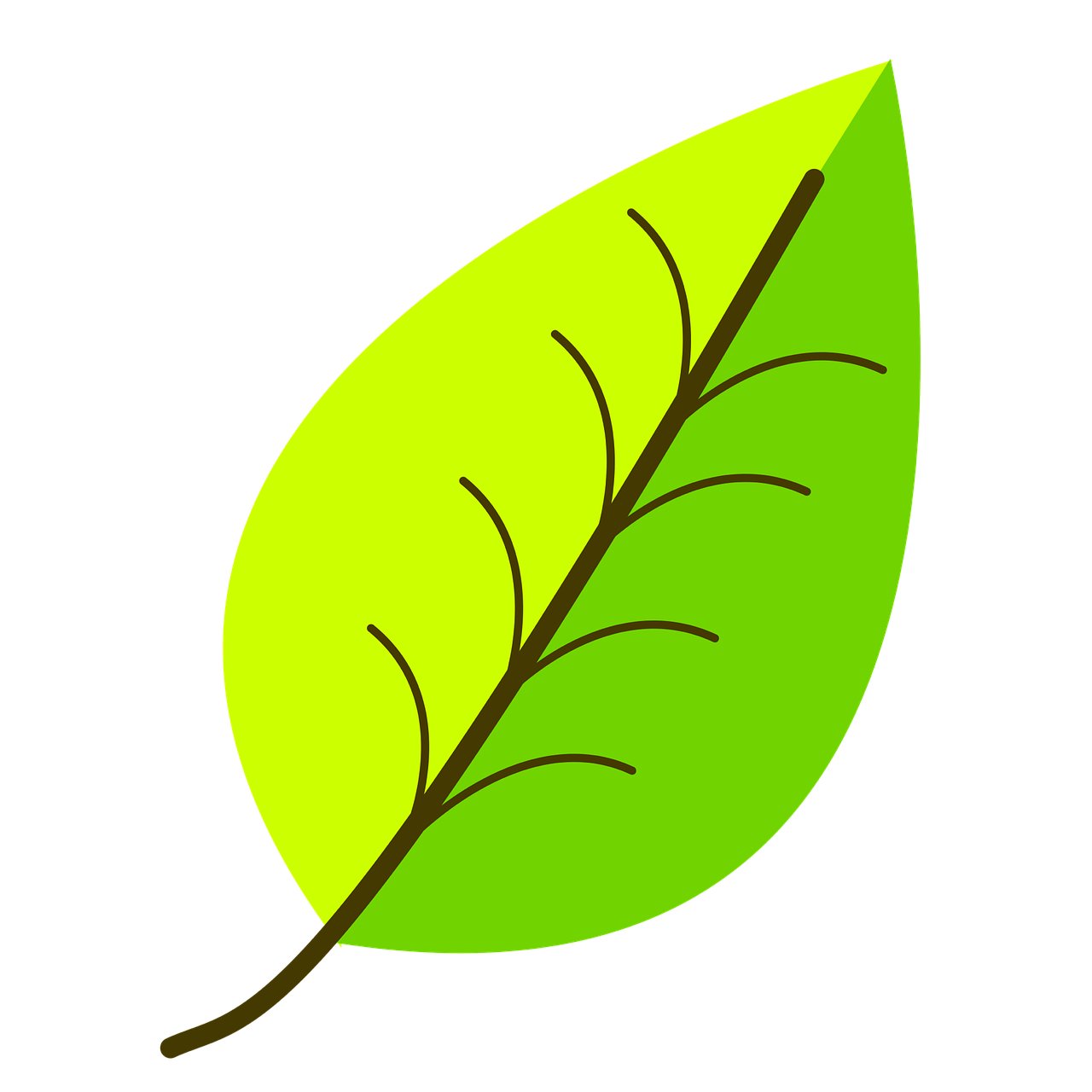how to draw a leaf 5