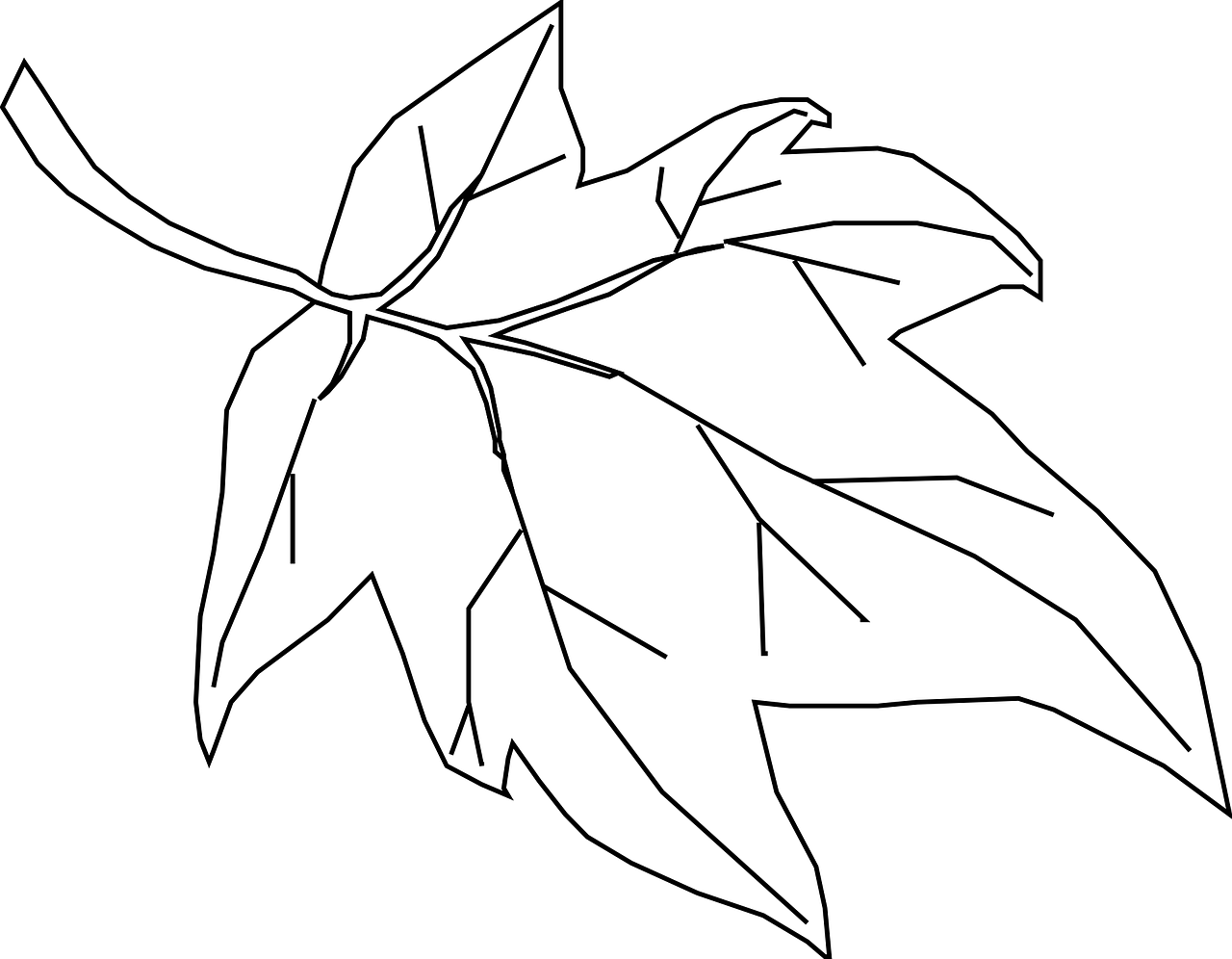 how to draw a leaf free printable leaf coloring pages 3