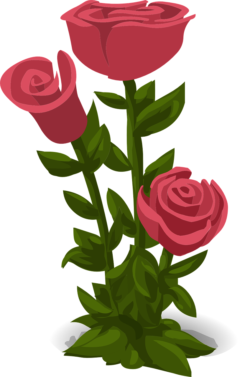 how to draw a rose 5