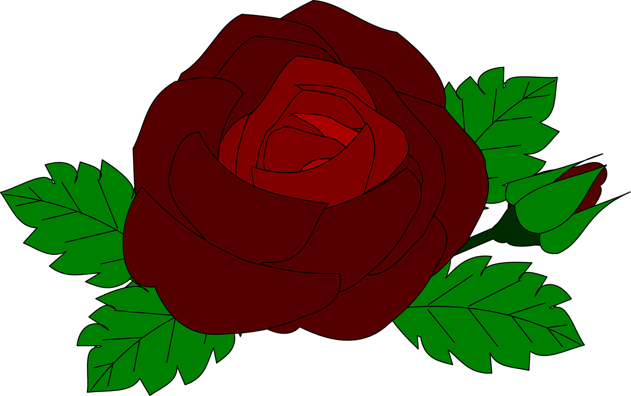 how to make a rose 14
