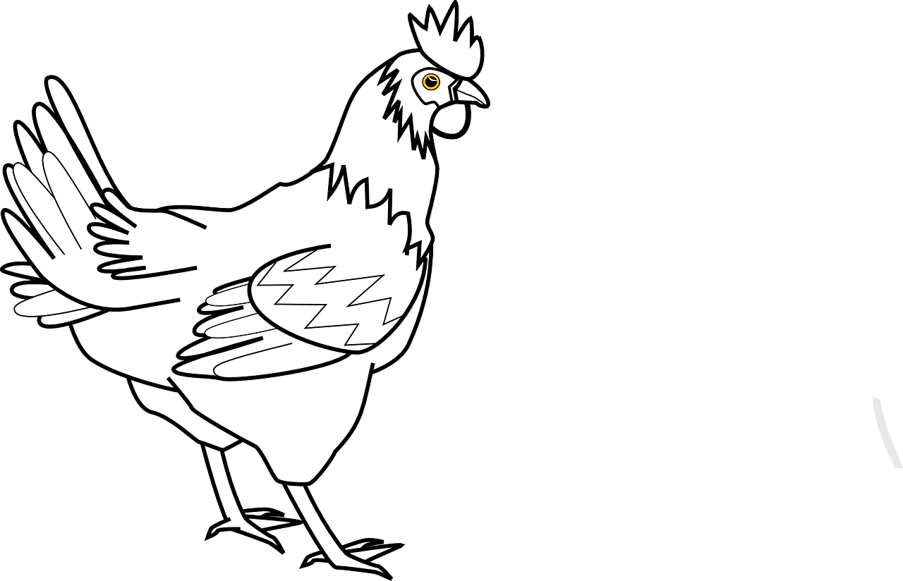 How to draw a cock: free printable cock stencils 17