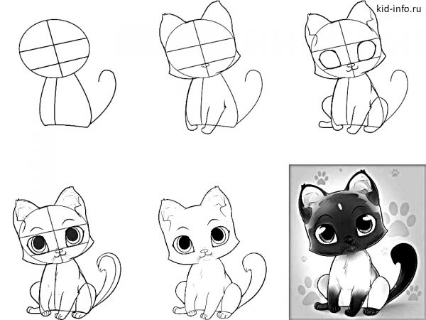 How to draw anime cat - 10 step-by-step drawing instructions for ...