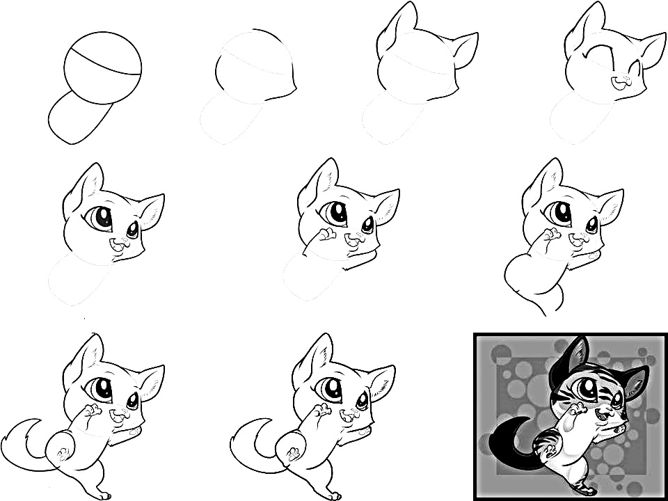 How to draw anime cat 10 stepbystep drawing instructions for