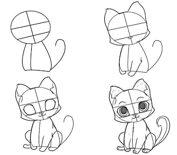 How to draw anime cat - 10 step-by-step drawing instructions for beginners