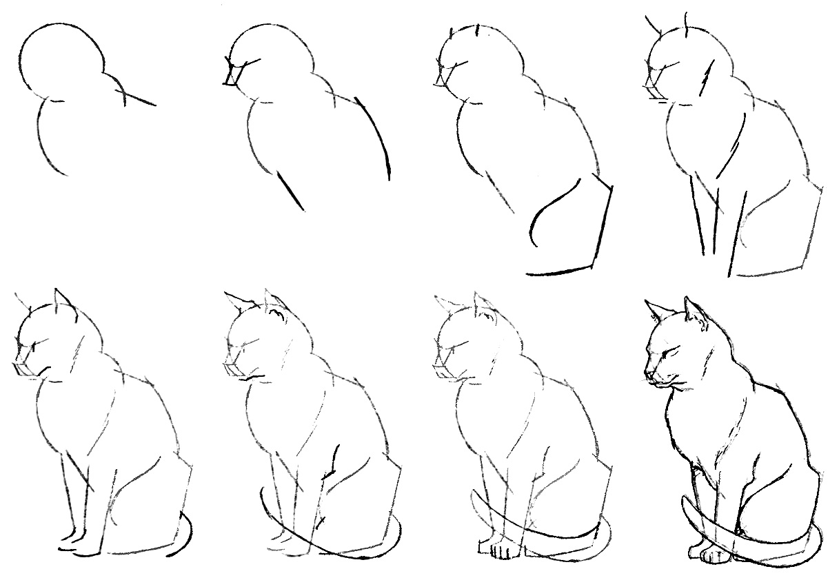 Great How To Draw A Realistic Cat Step By Step of all time Learn more here 
