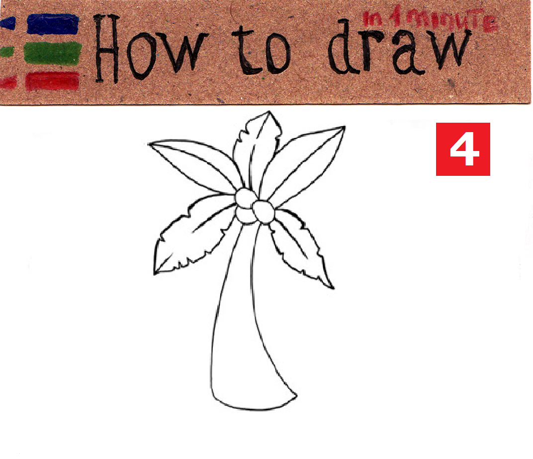 How to draw a palm tree: easy tutorial