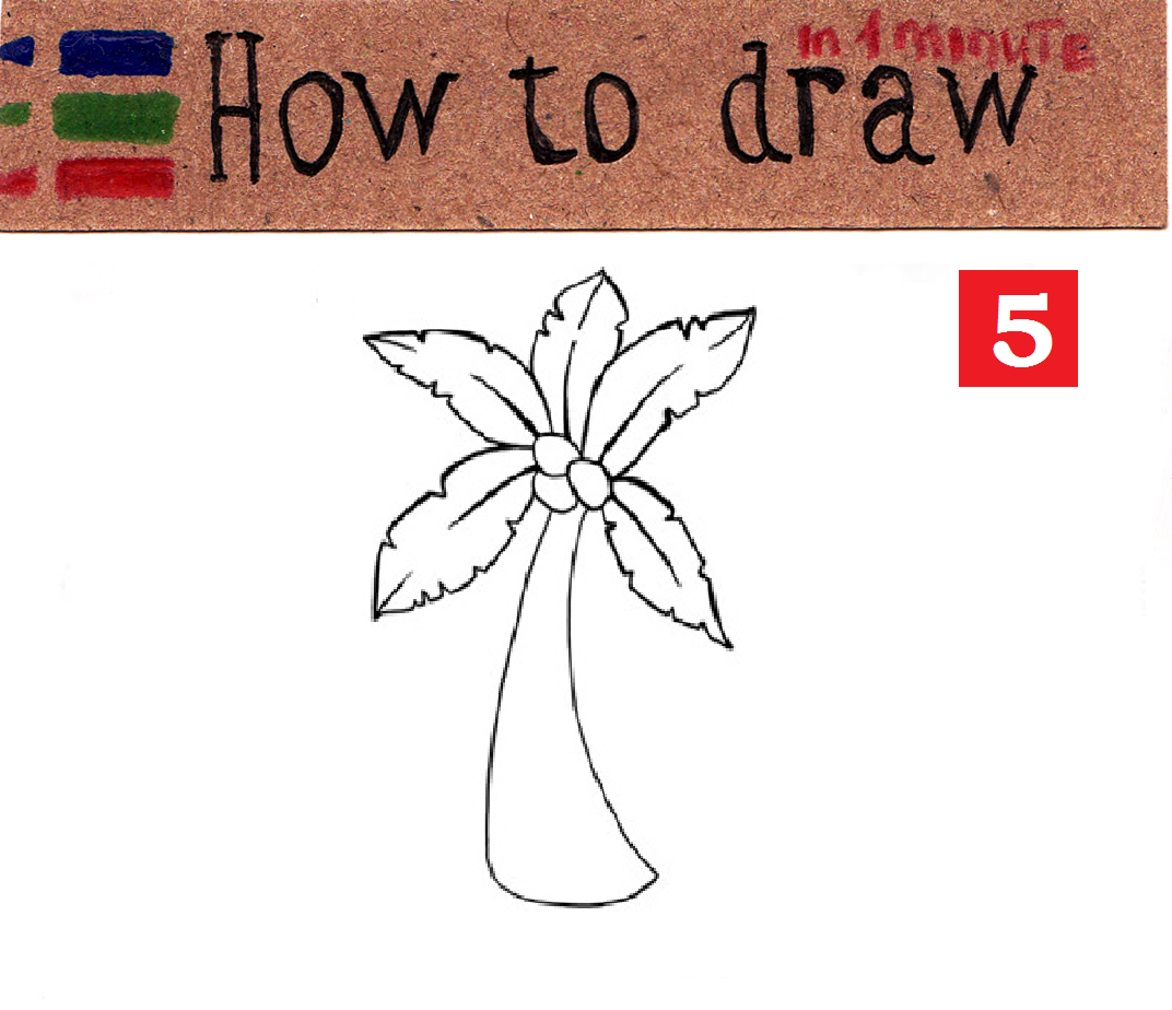 How to draw a palm tree: easy tutorial
