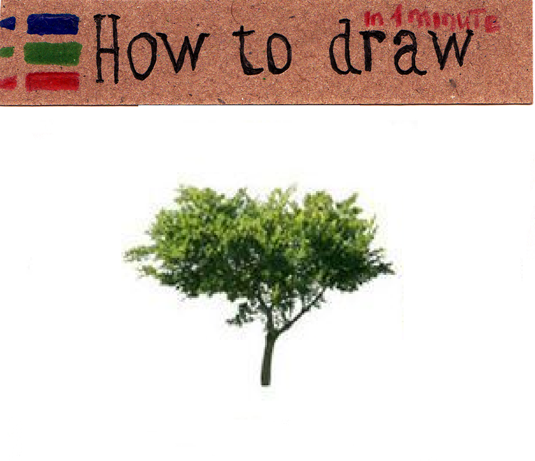 Free Vector Tree Pictures - 18 Free Pictures