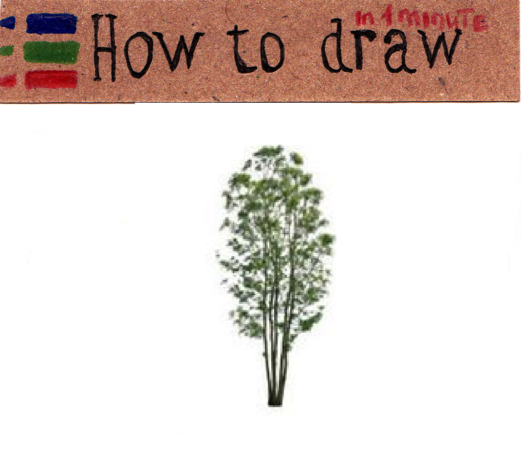 Free Vector Tree Pictures - 18 Free Pictures